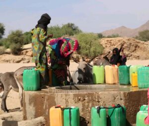 Article : Femme nigérienne, symbole de résilience et de lumière