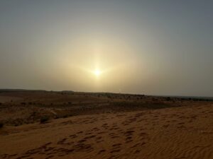 Article : Le labyrinthe des faux-semblants